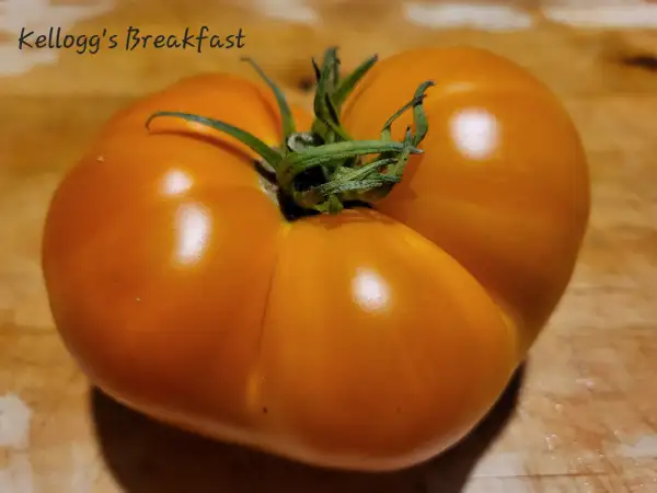 Tomaten: Kellogg´s Breakfast