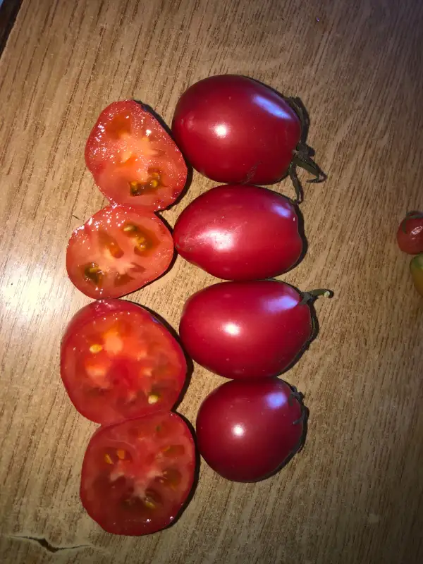 Tomaten: Kemerovets