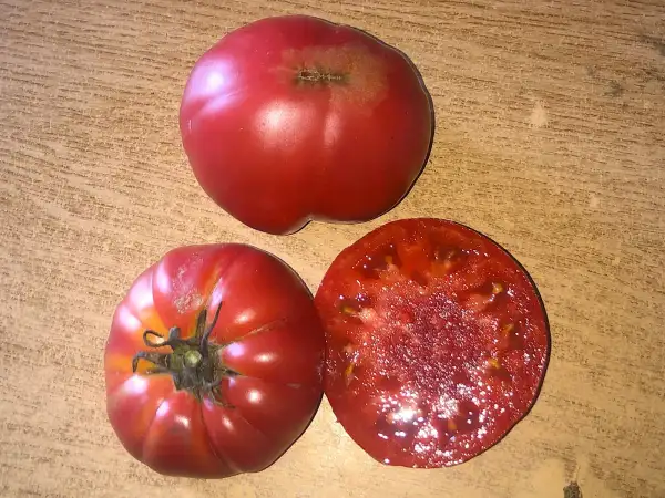 Tomaten: Kentucky Pink Stamper