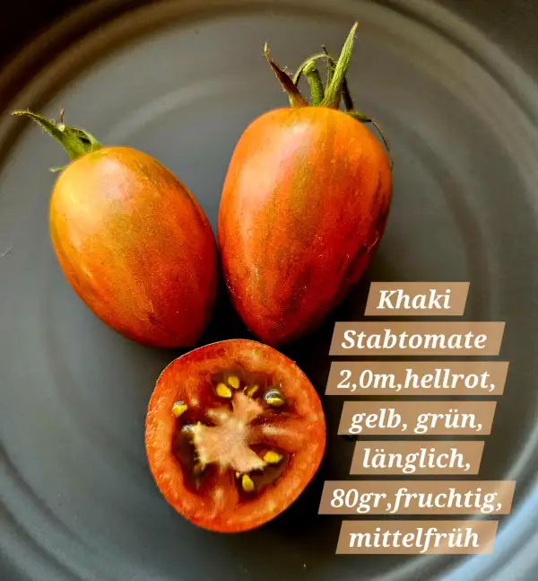 Tomaten: Khaki