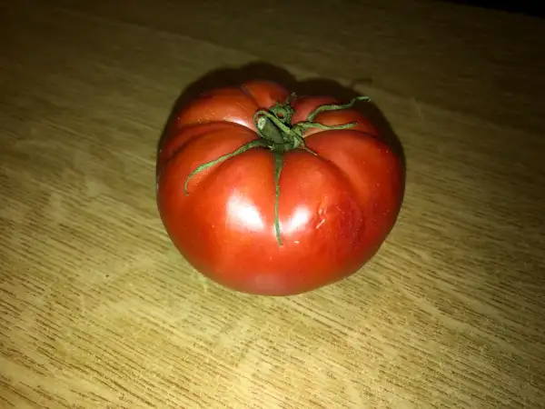 Tomaten: Khlebosolnye