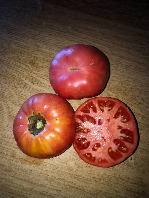 Tomaten: Khula Uri Iz Adzharii