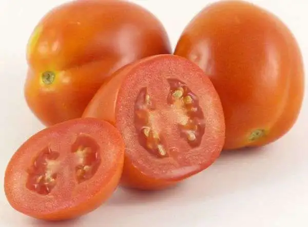 Tomaten: Kibic