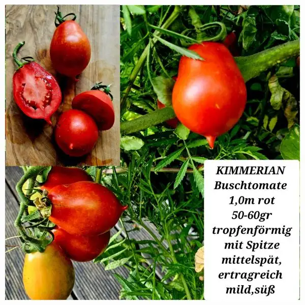 Tomaten: KIMMERIAN