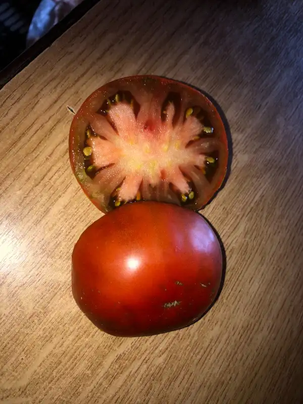 Tomaten: King Aramis