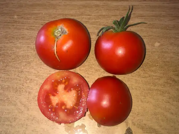 Tomaten: King George