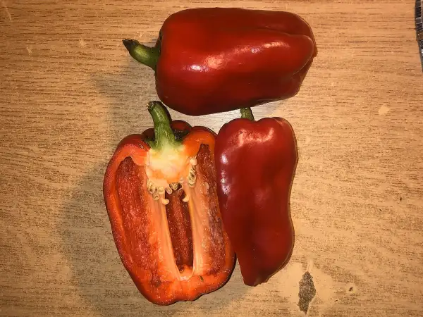Chili / Paprika: King of the North (sweet)