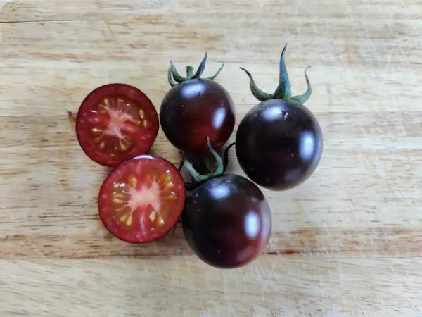 Tomaten: Kirschtomate 