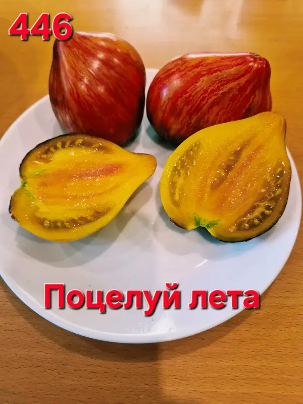 Tomaten: Kiss of summer
