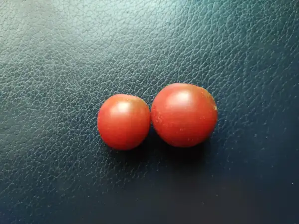 Tomaten: Kiss the Sky