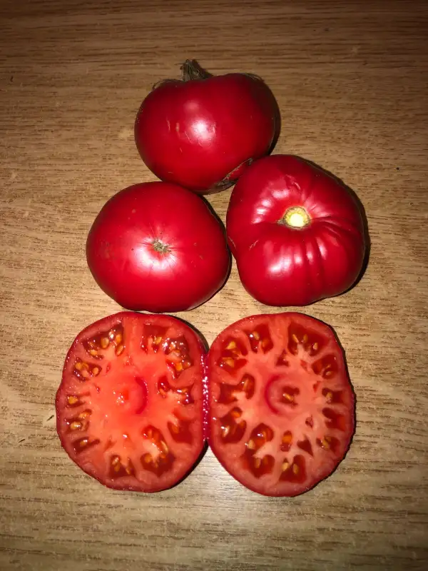 Tomaten: Kitayskiy Rozovyi