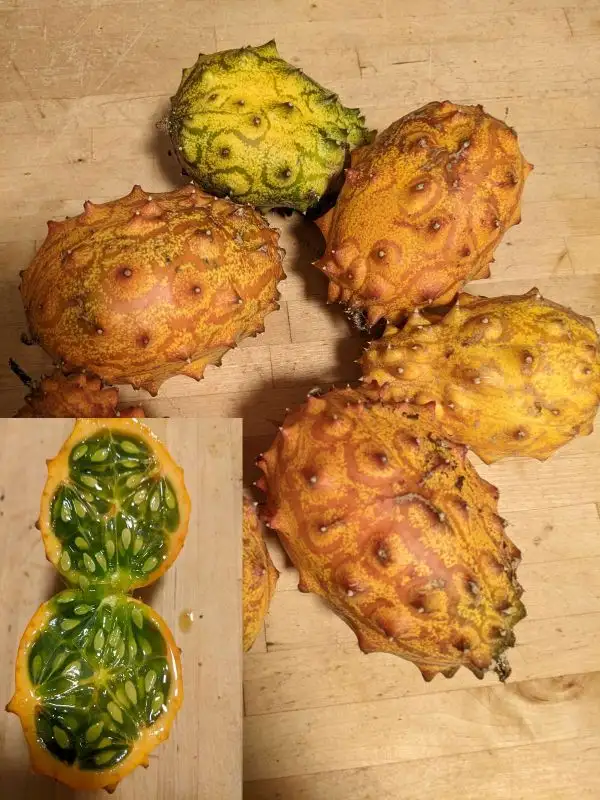 andere Gemüse: Kiwano