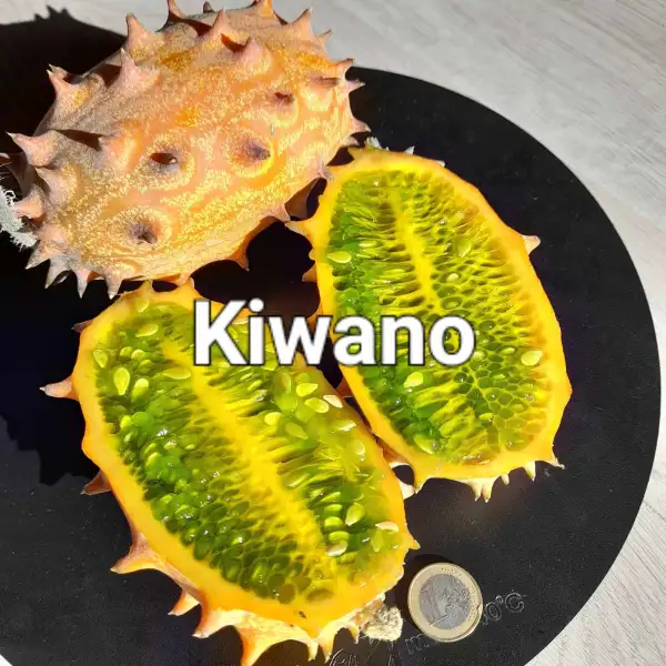 Gurken: Kiwano