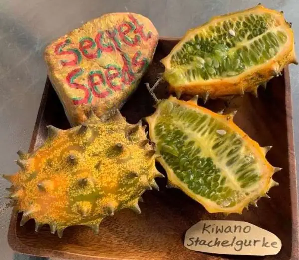 andere Gemüse: Kiwano Horngurke