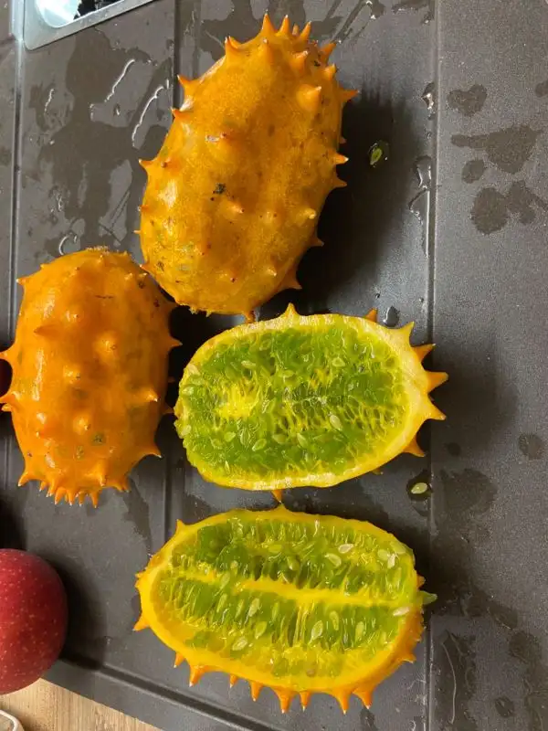 Gurken: Kiwano, Stachelgurke