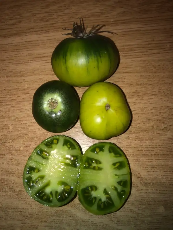 Tomaten: Kiwi