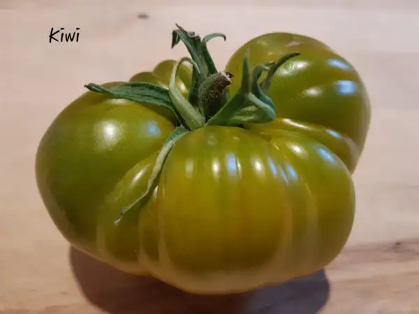 Tomaten: Kiwi