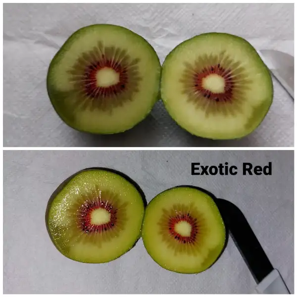 Obst: Kiwi "Exotic Red" Jingold