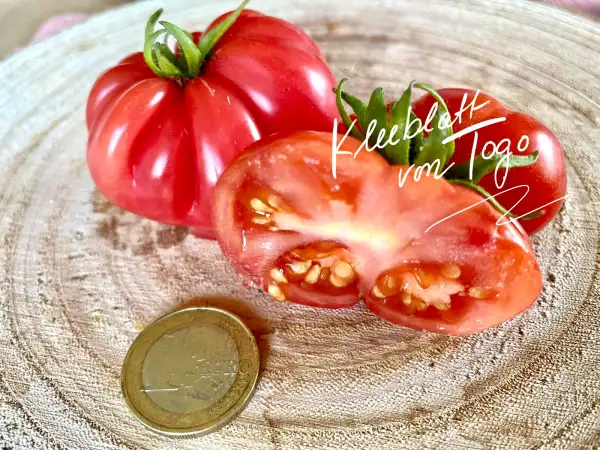 Tomaten: Kleeblatt von Togo