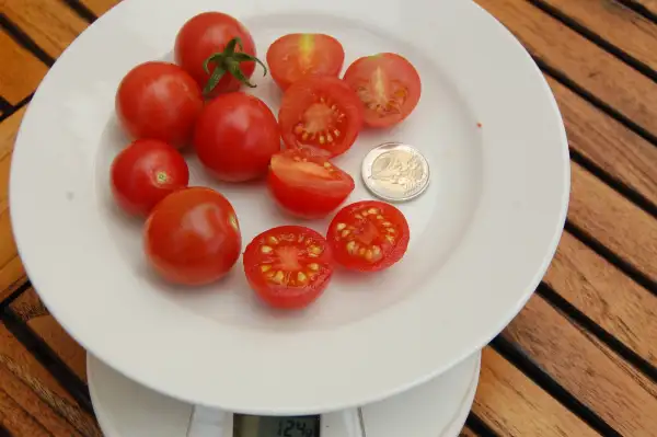 Tomaten: Kleine Thai