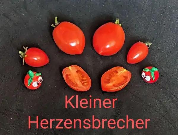 Tomaten: Kleiner Herzensbrecher