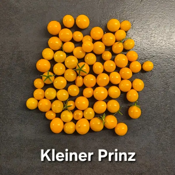 Tomaten: Kleiner Prinz