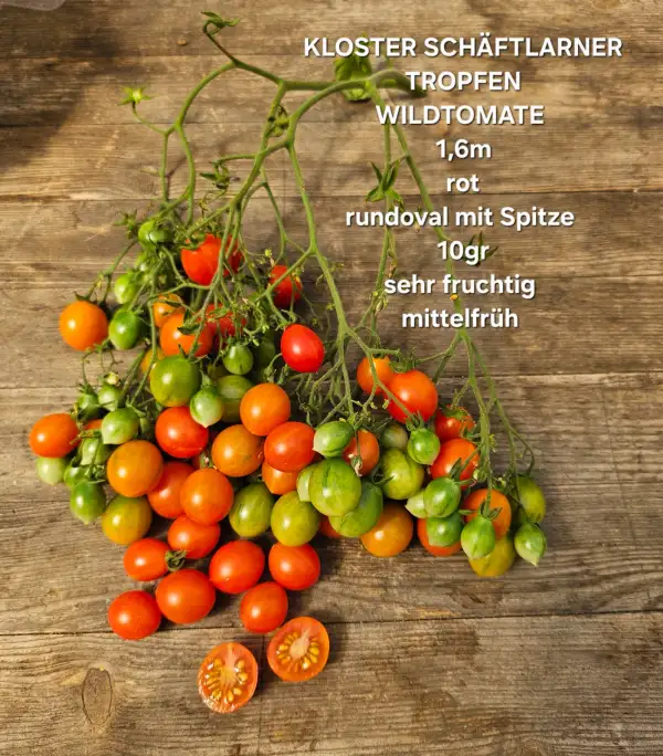 Tomaten: Kloster Schäflarner Tropfen