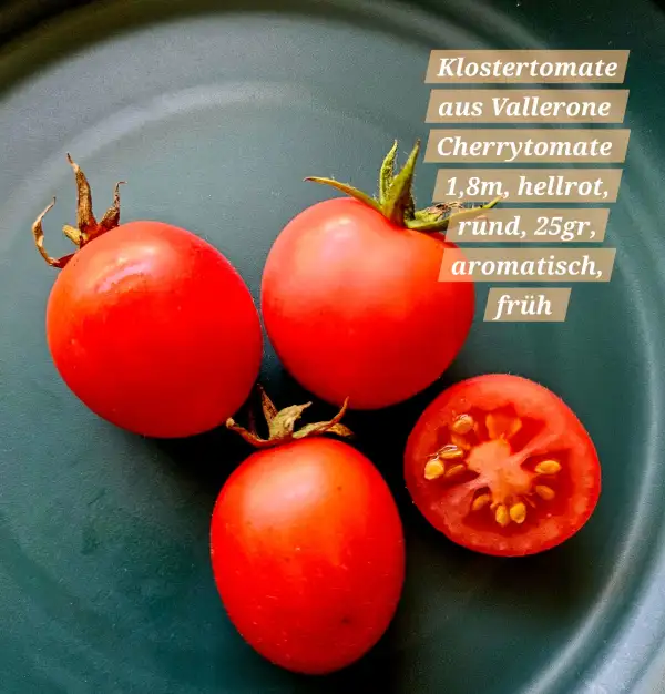 Tomaten: Klostertomate Aus Vallerone