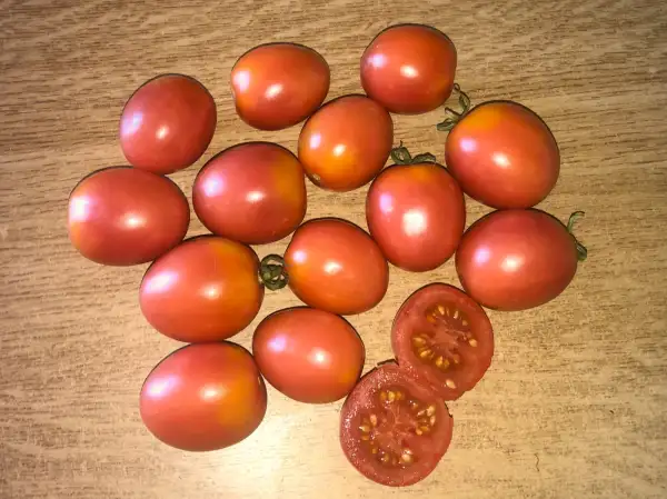 Tomaten: Klostertomate Aus Vallerone