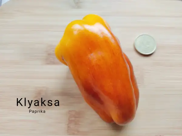 Chili / Paprika: Klyaksa (auch "Blot")