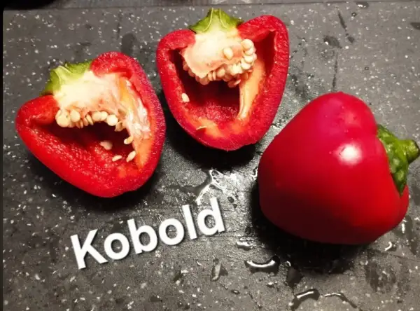 Chili / Paprika: Kobold