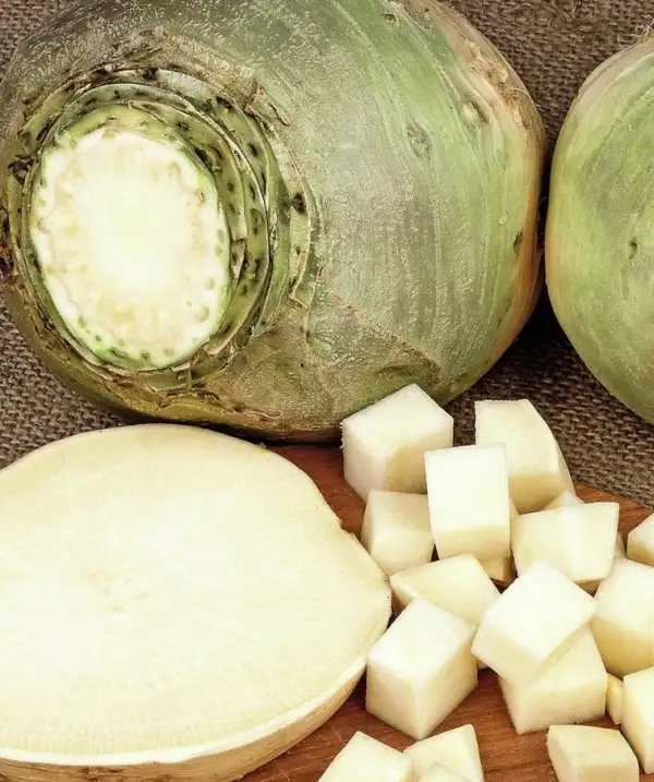 andere Gemüse: Kohlrübe "Wilhelmsburger"