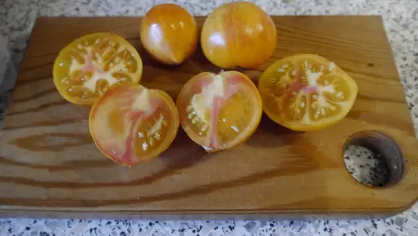 Tomaten: Konzula 137