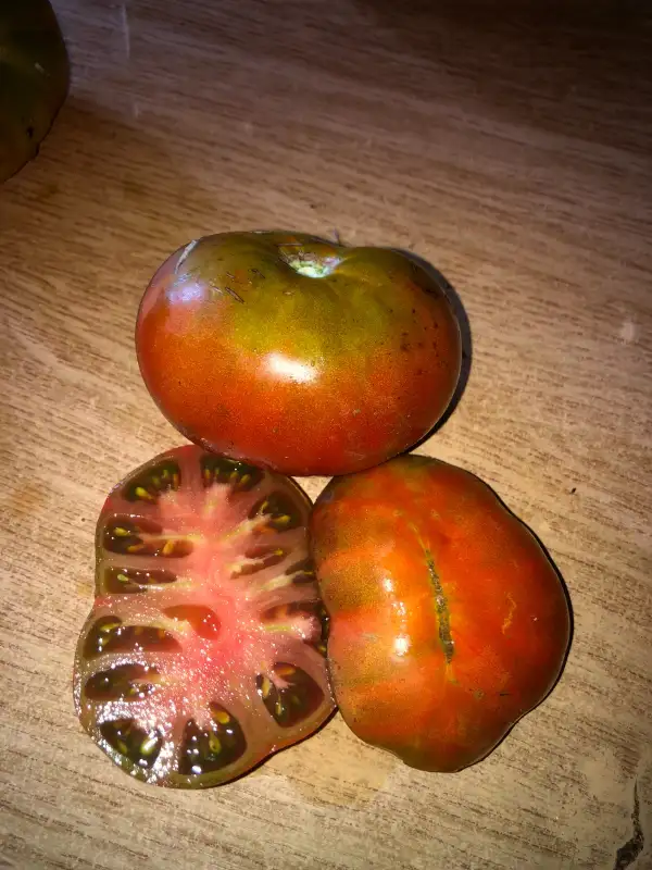 Tomaten: Kookaburra Crackle