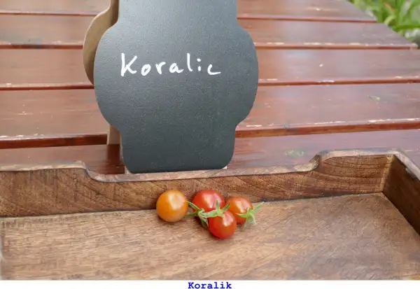 Tomaten: Koralik