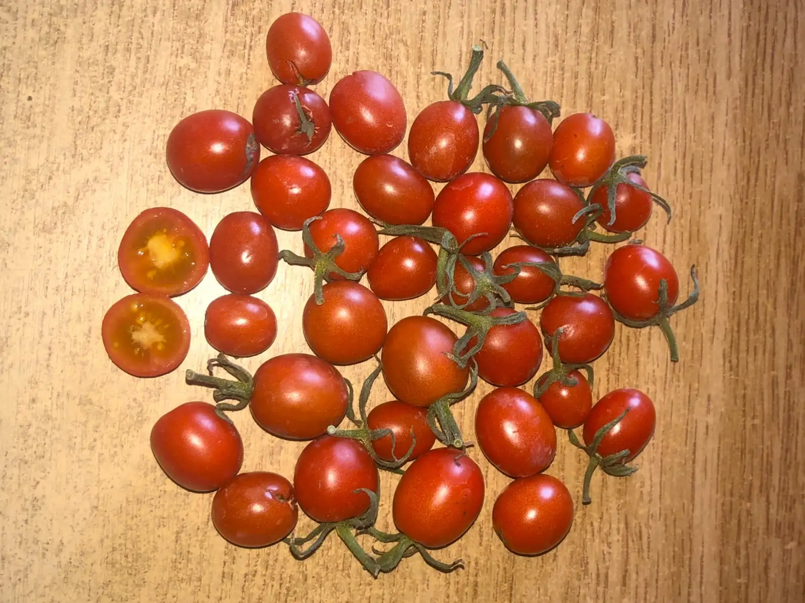 Tomaten: Koralik