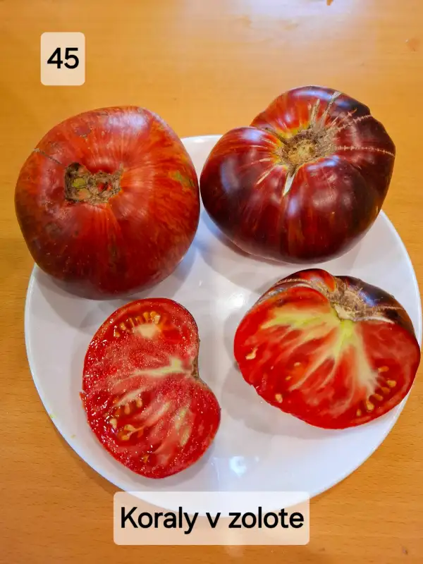 Tomaten: Koraly v zolote