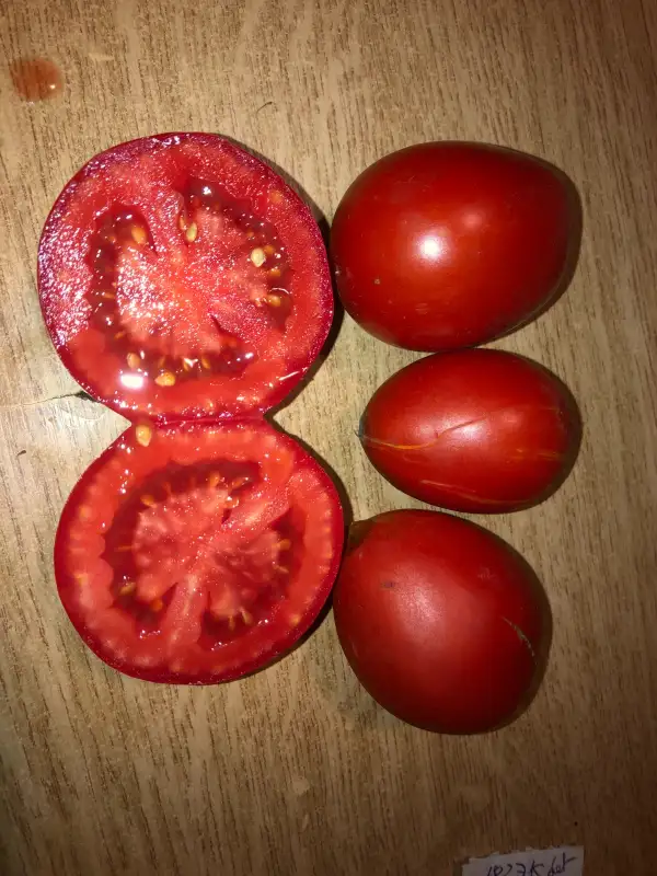 Tomaten: Korrida