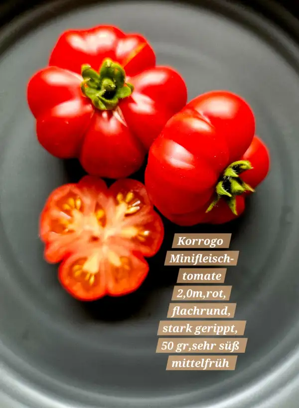 Tomaten: Korrogo