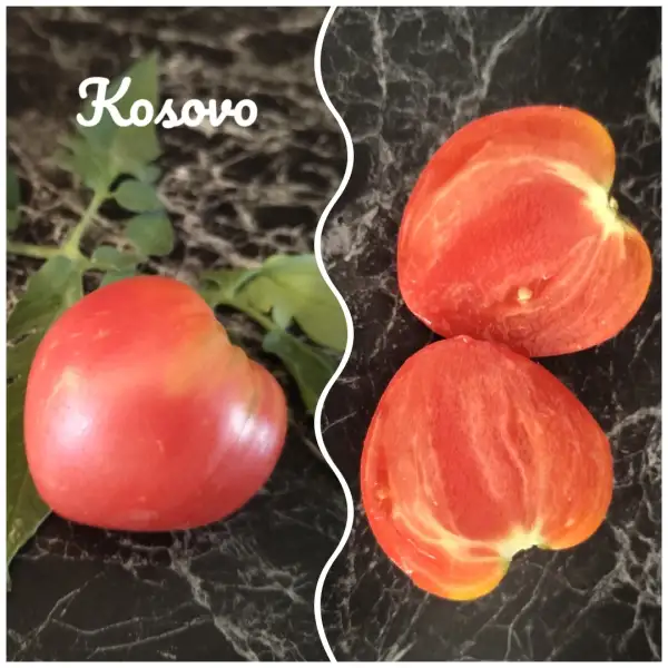 Tomaten: Kosovo