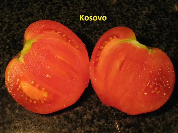 Tomaten: Kosovo