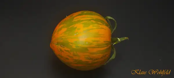 Tomaten: Kosula 148