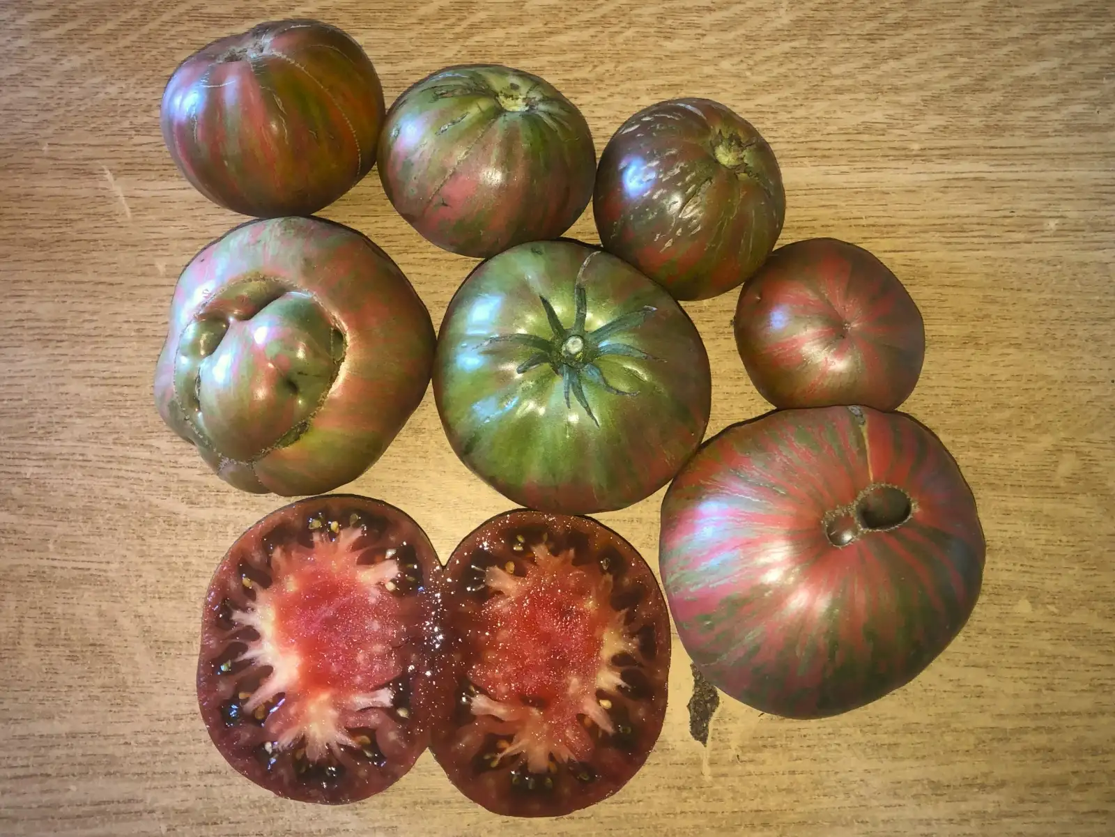 Tomaten: Kozula #125