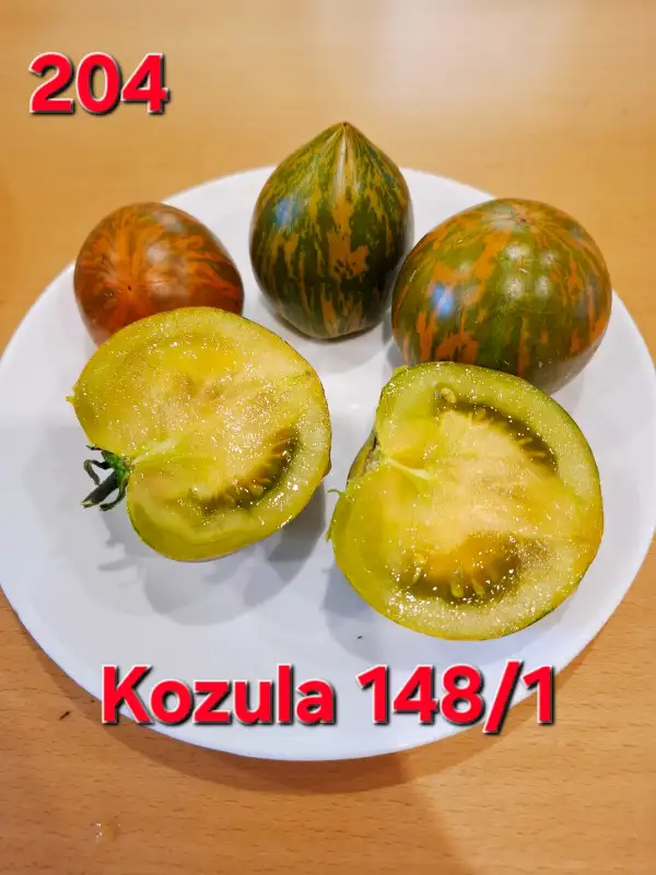 Tomaten: Kozula 148/1