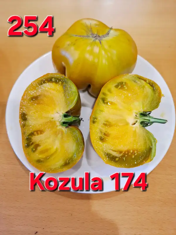 Tomaten: Kozula 174
