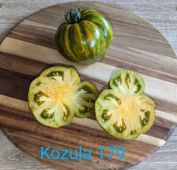 Tomaten: Kozula 179