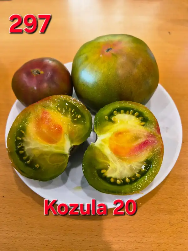 Tomaten: Kozula 20