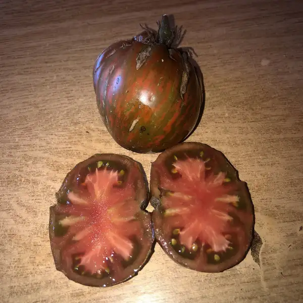 Tomaten: Kozula #24