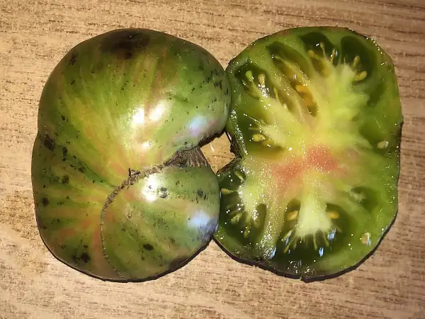 Tomaten: Kozula #25