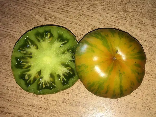 Tomaten: Kozula #61